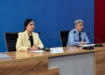 Жетісу облысында 265 интернет-алаяқтық фактісі тіркелді