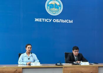 Жетісу облысында 13 миллиард теңгеден астам заңбұзушылық анықталды