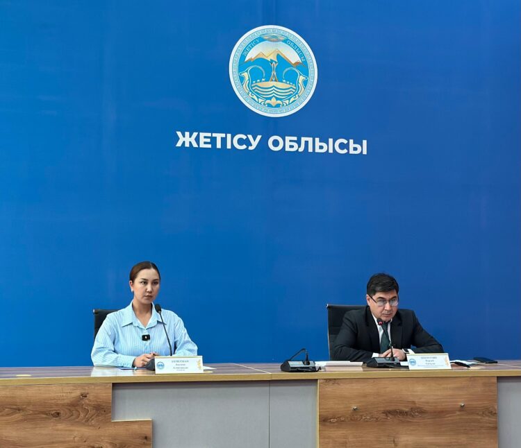 Жетісу облысында 13 миллиард теңгеден астам заңбұзушылық анықталды