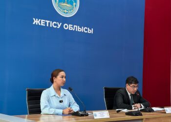 Нарушения на 13 миллиардов тенге зафиксированы в области Жетісу