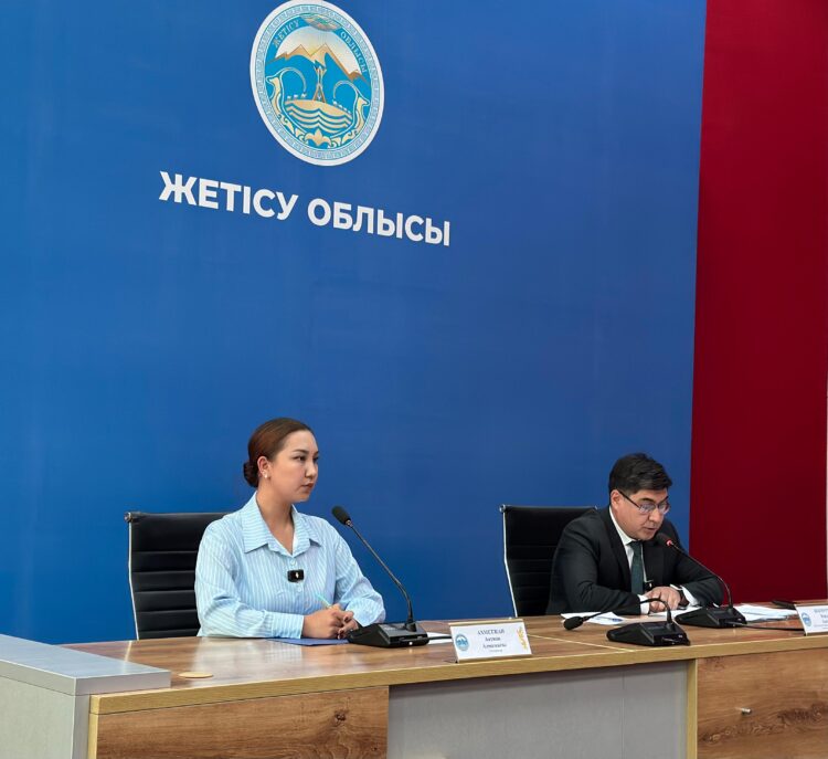 Нарушения на 13 миллиардов тенге зафиксированы в области Жетісу