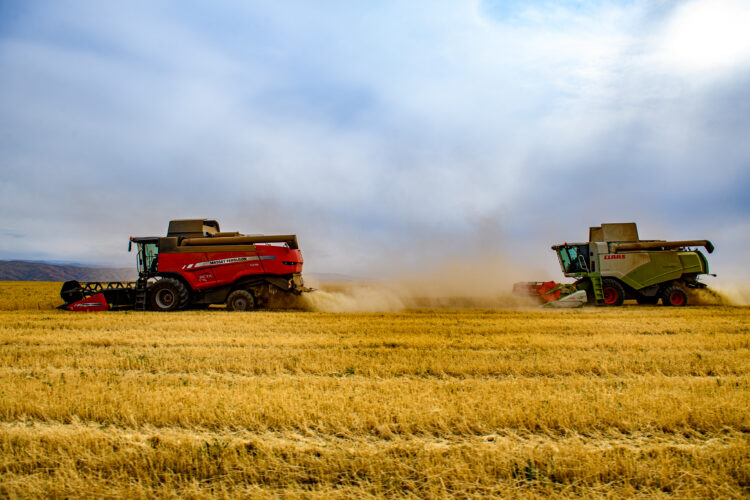 В области Жетісу продолжается осенняя уборочная кампания