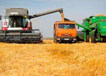 Жетісу облысында күзгі жиын-терін жұмыстары жалғасуда