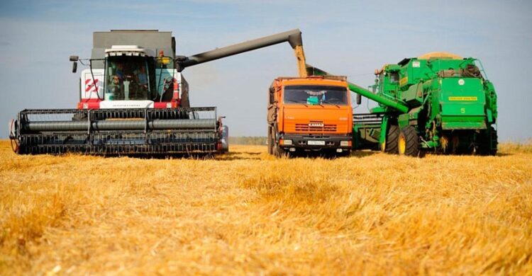 Жетісу облысында күзгі жиын-терін жұмыстары жалғасуда