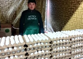 Елордадағы жәрмеңке: Жетісудан ауыл шаруашылығы тауар өндірушілері 155 тоннадан астам өнім әкелді