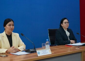 В области Жетісу устранено 4 барьера для бизнеса