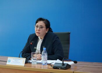 Жетісу облысында бизнеске кедергі келтірген 4 тосқауыл жойылды