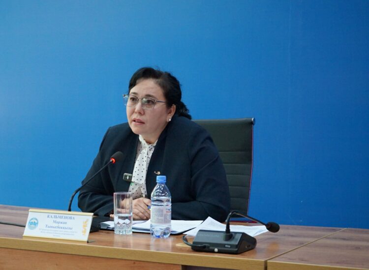 Жетісу облысында бизнеске кедергі келтірген 4 тосқауыл жойылды