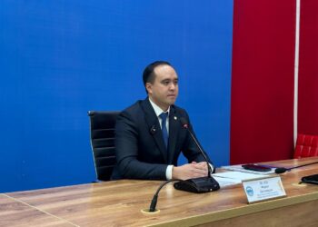 Эффективность таможенных досмотров в области Жетісу достигла 84%