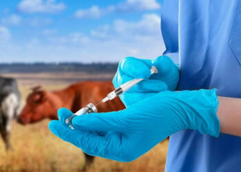 Ветеринария саласын жаңғыртуға биыл 1 миллиард теңгеге жуық қаражат жұмсалмақ