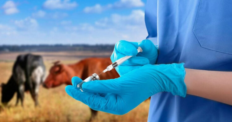 Ветеринария саласын жаңғыртуға биыл 1 миллиард теңгеге жуық қаражат жұмсалмақ