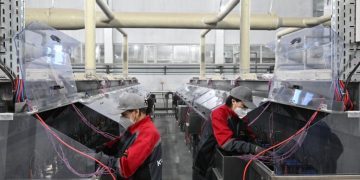 Триллионный масштаб: Жетісу готовит экономический рывок до 2029 года