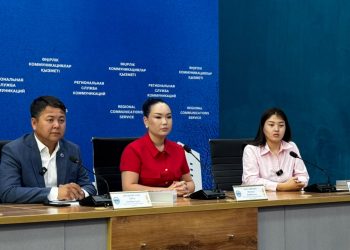 Более 35 тысяч жителей объединили волонтерские инициативы в области Жетісу