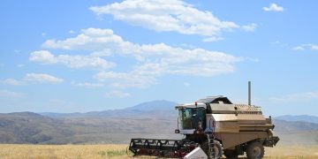Жетісуда 935 мың тонна астық жинау жоспарланған